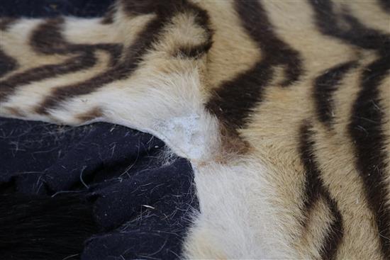 A tiger skin rug, complete with head and claws